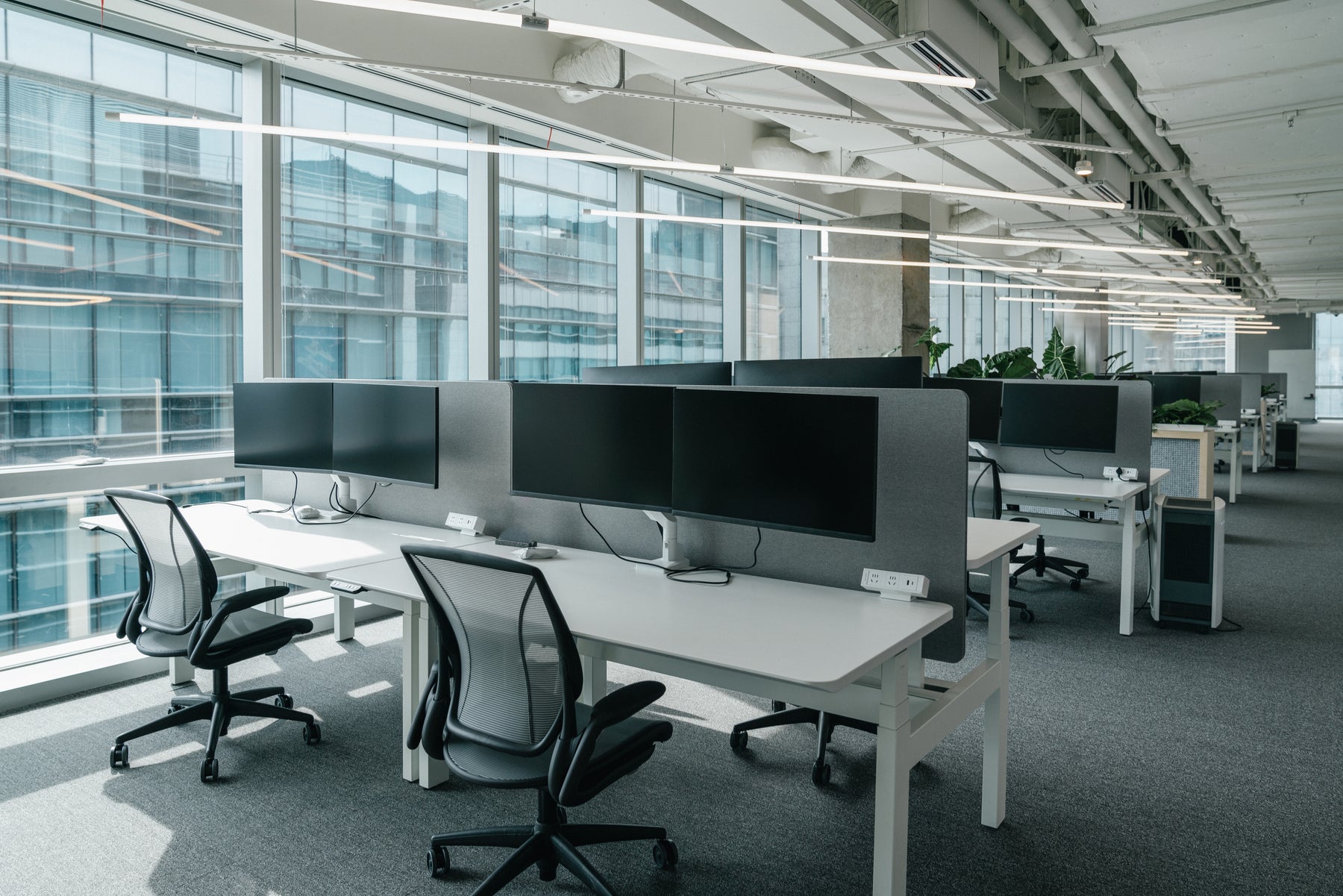 Benefits of refurbished office furniture - rows of office desks.